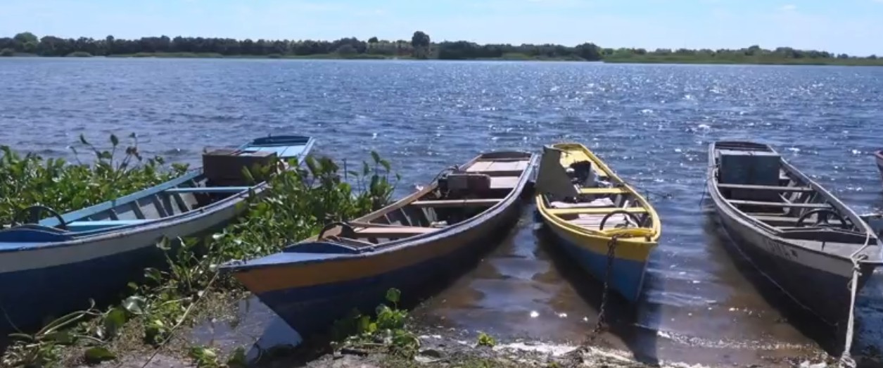 Pescadores de Petrolina cobram pagamento do seguro defeso: 'dependemos desse dinheiro'