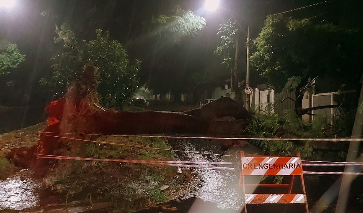 Microexplosão em Araraquara: ventos de 90 km/h derrubam mais de 20 árvores e causam estragos