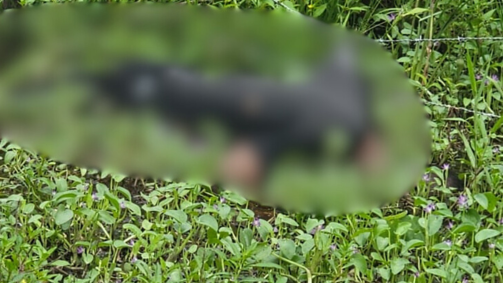 Homem de 32 anos que estava desaparecido é encontrado morto no Sul do Piauí