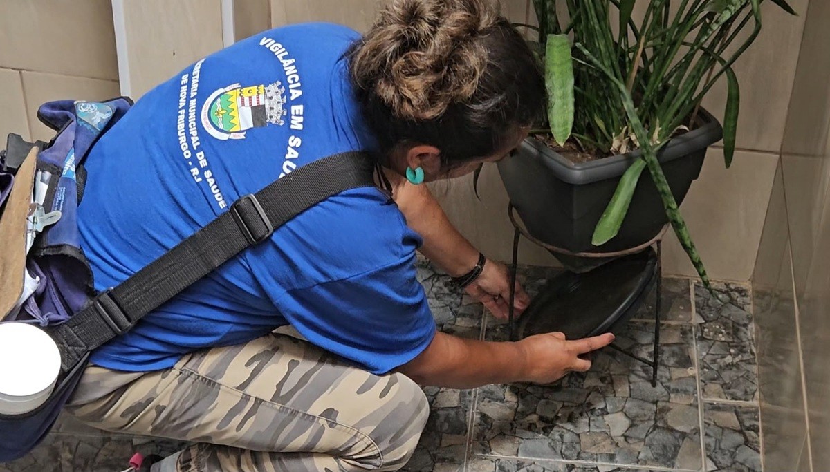 Alerta para dengue: monitoramento aponta alto risco de Aedes aegypti em três bairros de Nova Friburgo