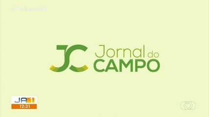 Veja os destaques do Jornal do Campo deste domingo (25)