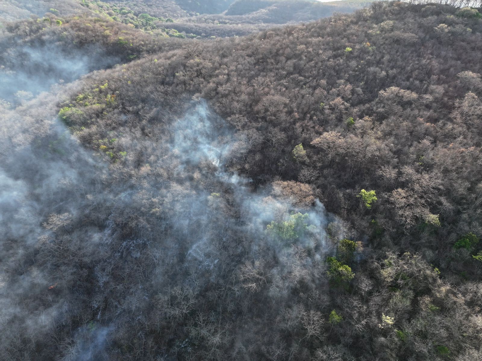 Homem é preso por provocar incêndio no parque estadual Lapa Grande, em Montes Claros 