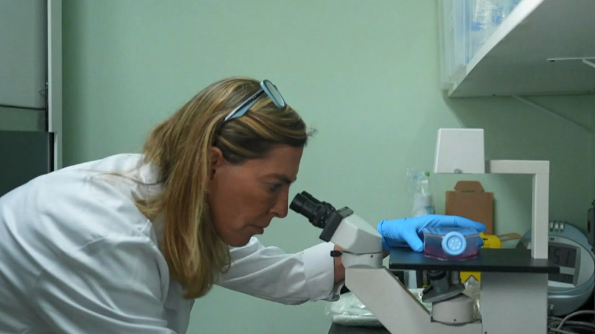 Polilaminina: hospital no interior de SP fornece placentas para ...