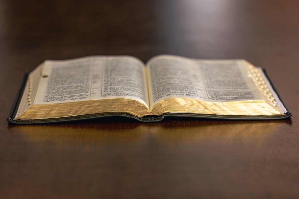 Você Não Tá Convidada pro Meu Bat Mitzvá!