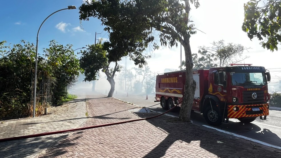 Parque do Cocó, em Fortaleza, é atingido por incêndio, neste sábado (30). — Foto: Isaac Macêdo/ SVM