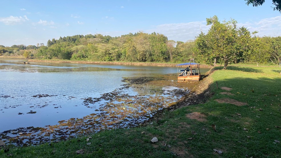 4 de 6
Lagoa de capta&ccedil;&atilde;o Rio Batalha em Bauru (SP) em agosto de 2025 &mdash; Foto: Andressa Lara/TV TEM