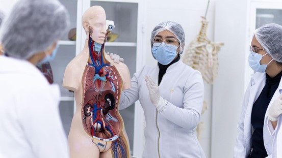 UNISUD: excelência acadêmica com diploma reconhecido no Mercosul