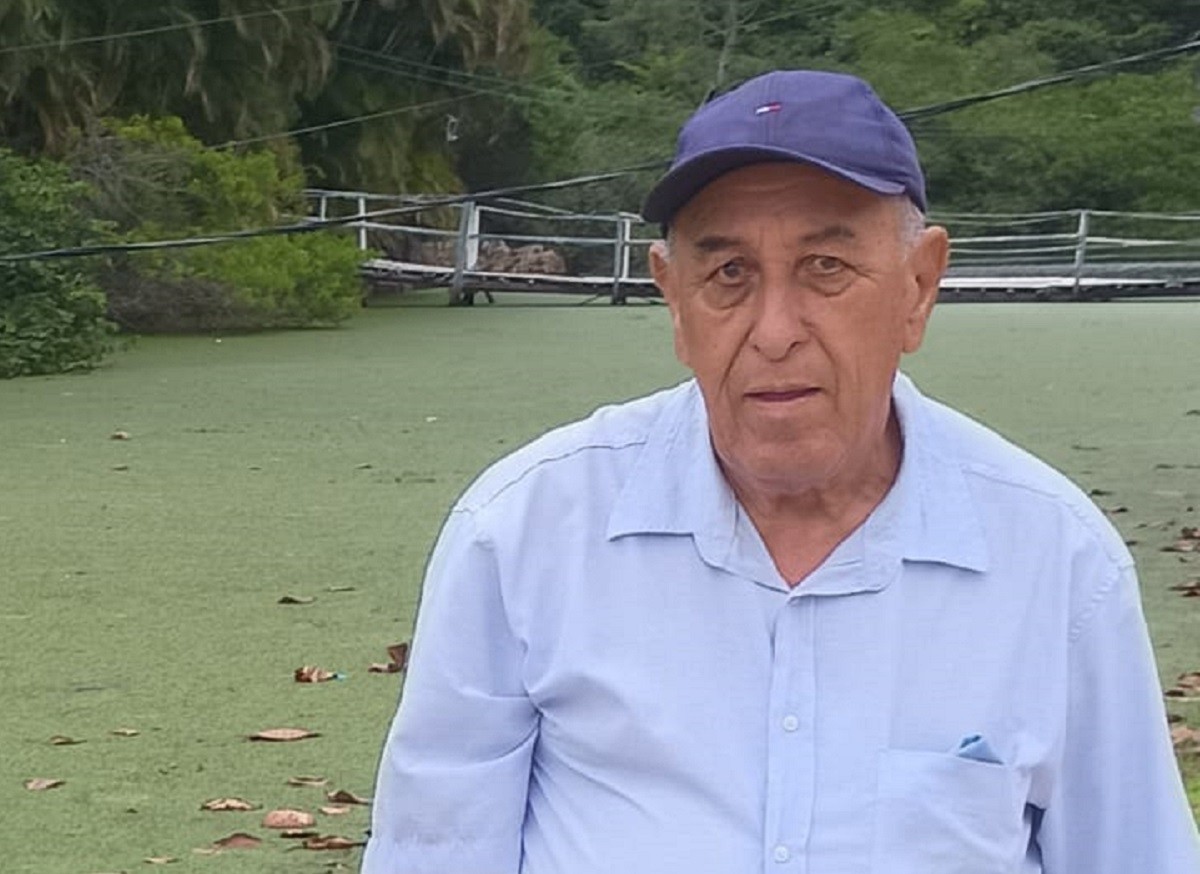 Idoso morre após ser atropelado em faixa de pedestre em MG: 'Ia comprar pó de café', diz genro  