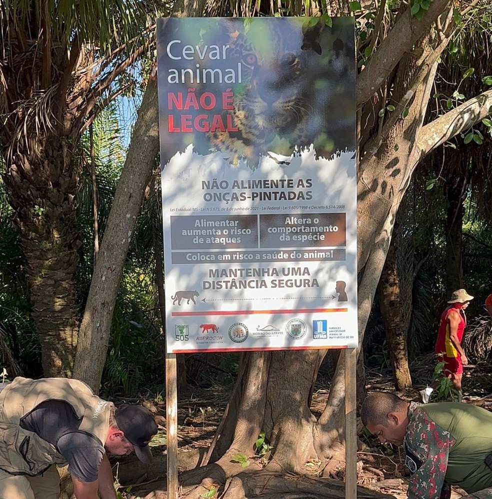 Cartaz foi fixado para conscientizar turistas e pescadores.  — Foto: Divulgação/PMA