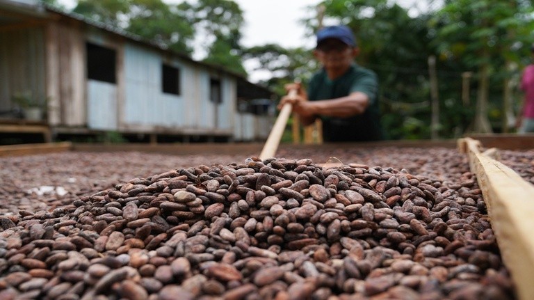 Edital de R$ 150 milhões vai financiar projetos da agricultura familiar; veja como se inscrever