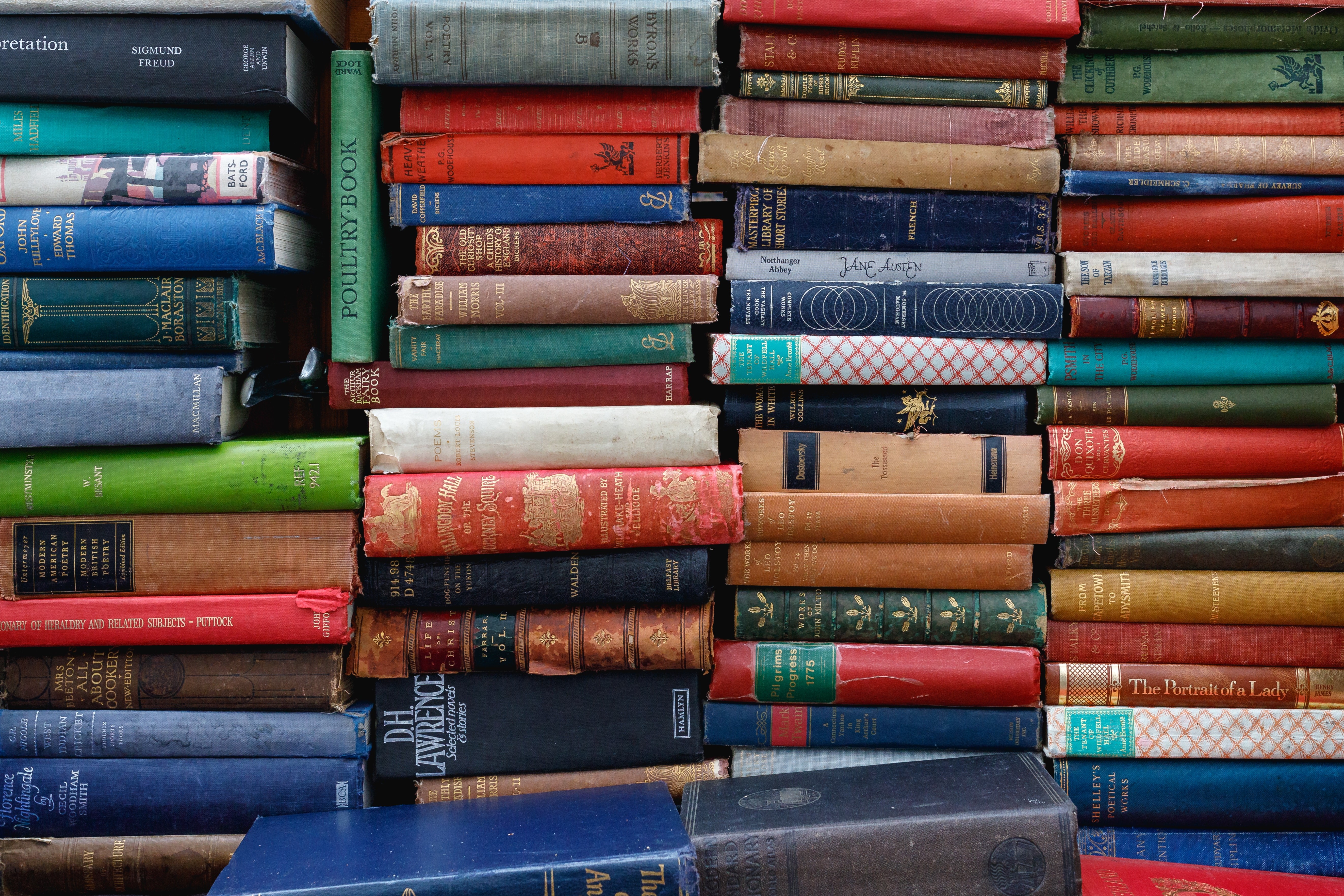 Da Bíblia a 'O Conto da Aia': milhares de livros são censurados nos EUA