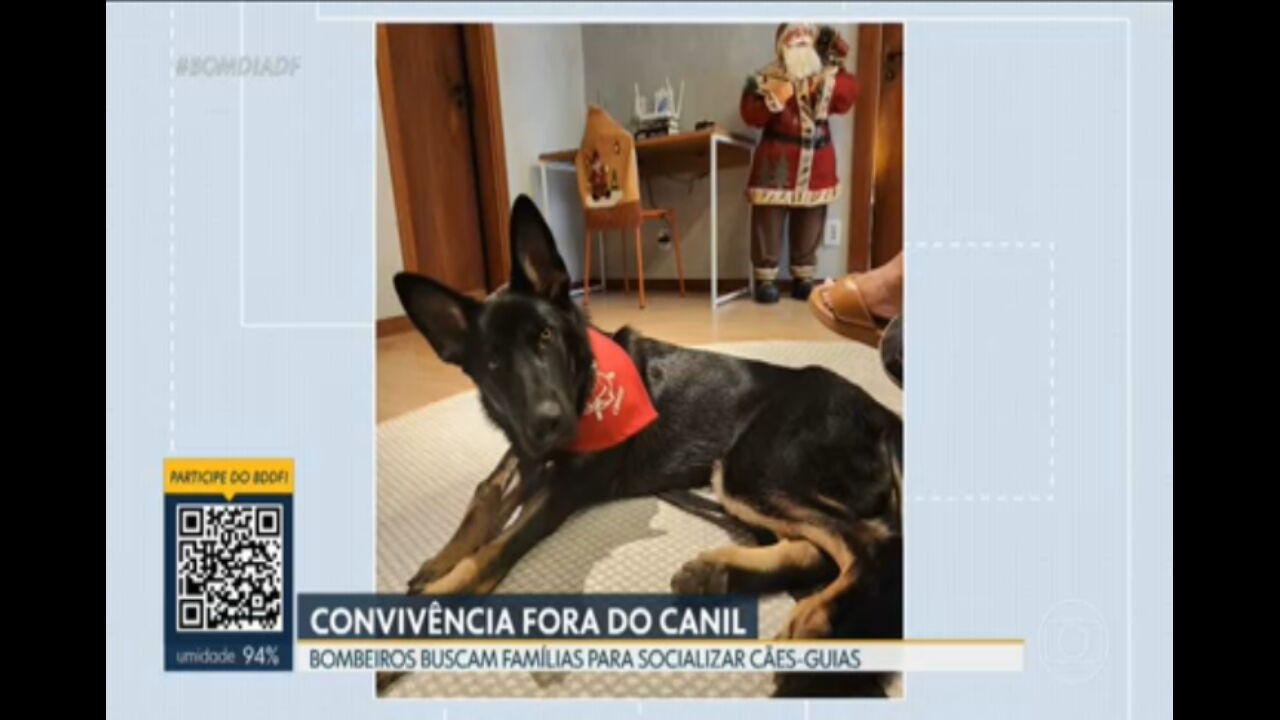 VÍDEOS: Bom Dia DF de terça-feira, 9 de dezembro de 2025