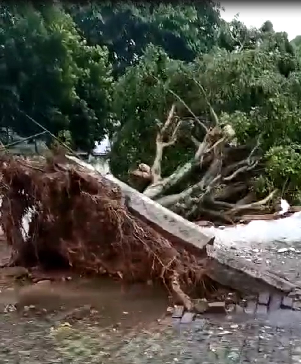 G1 - Memes ironizam previsão de temporal no Rio nesta quinta-feira