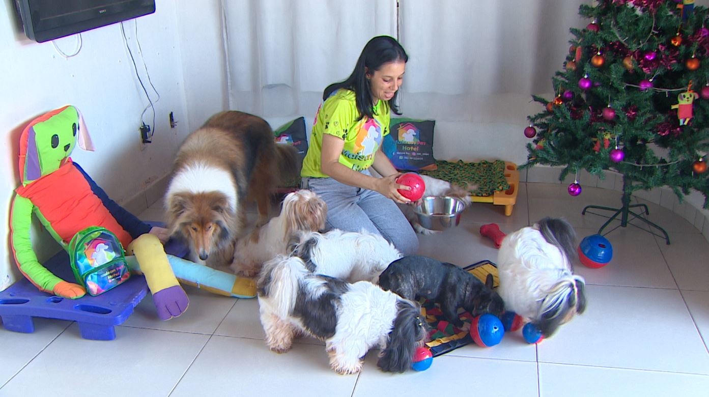 Procura por hotéis para cães e gatos dobra no fim de ano em Macapá; veja como funciona