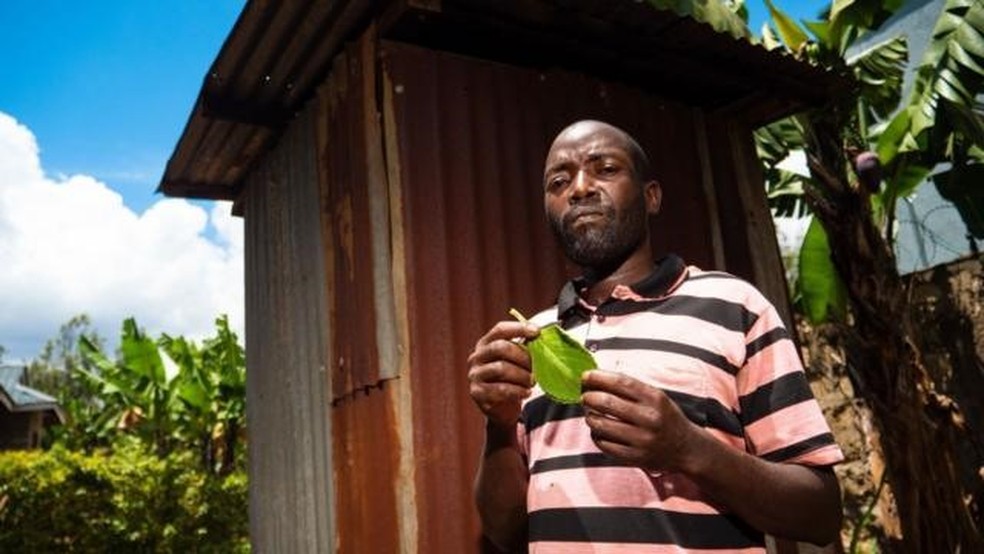 Benjamin, que utiliza o boldo há mais de 25 anos, cultiva a planta no quintal dele — Foto: BBC