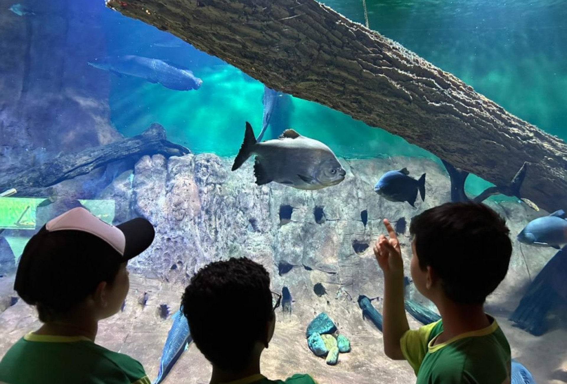 O gigante das águas: bioparque brasileiro vira referência mundial