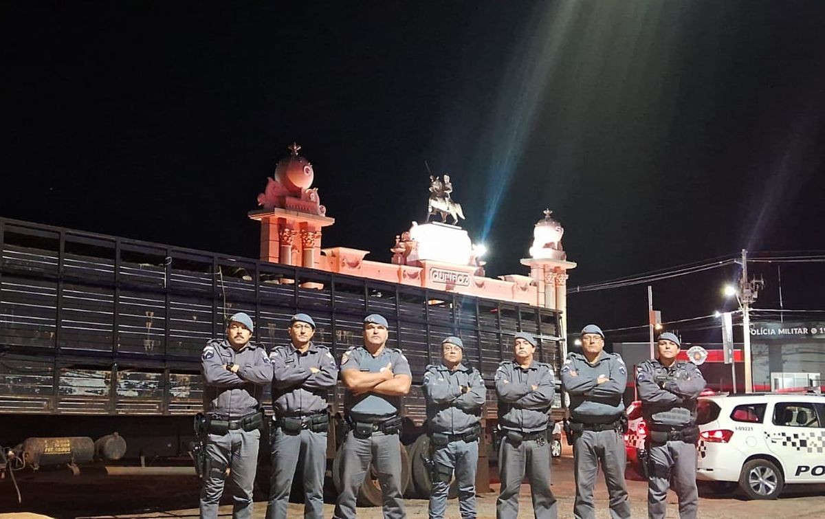 Cabeças de gado furtadas são recuperadas após perseguição policial no interior de SP 