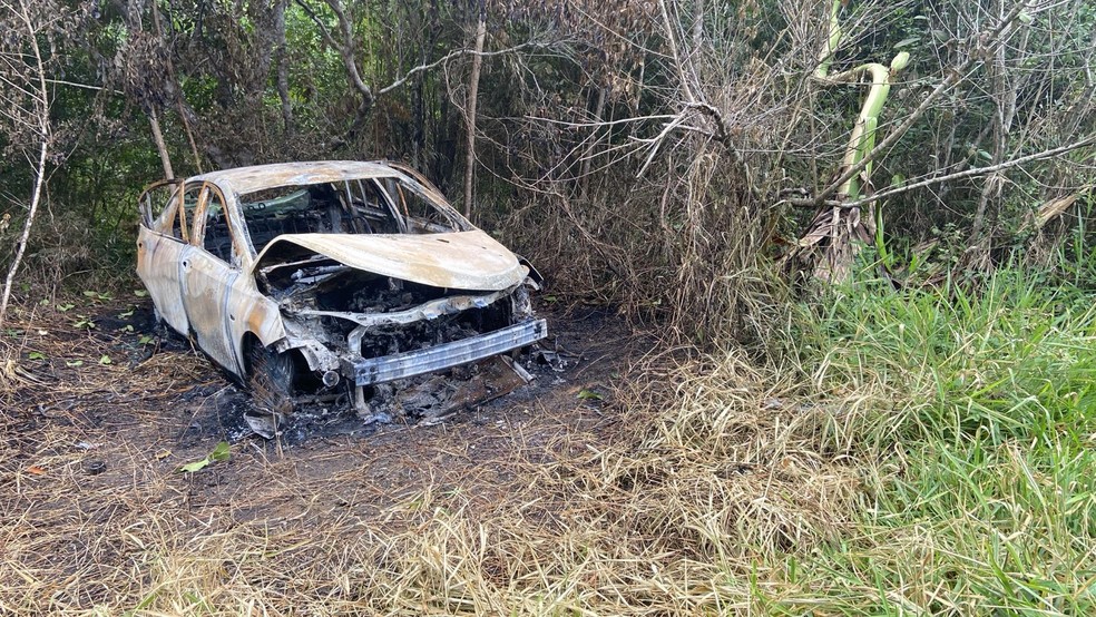Carro foi encontrado carbonizado em região de mata em Eunápolis — Foto: Redes sociais
