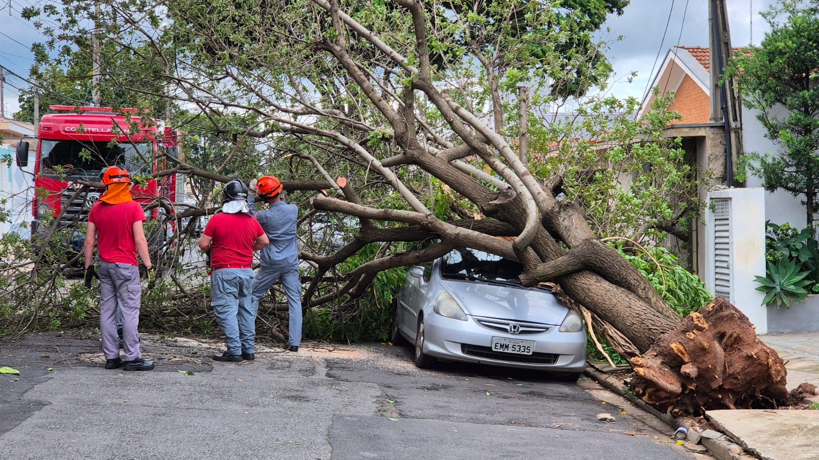 Por cinco minutos, motorista escapa de queda de árvore sobre carro após estacionar em Limeira