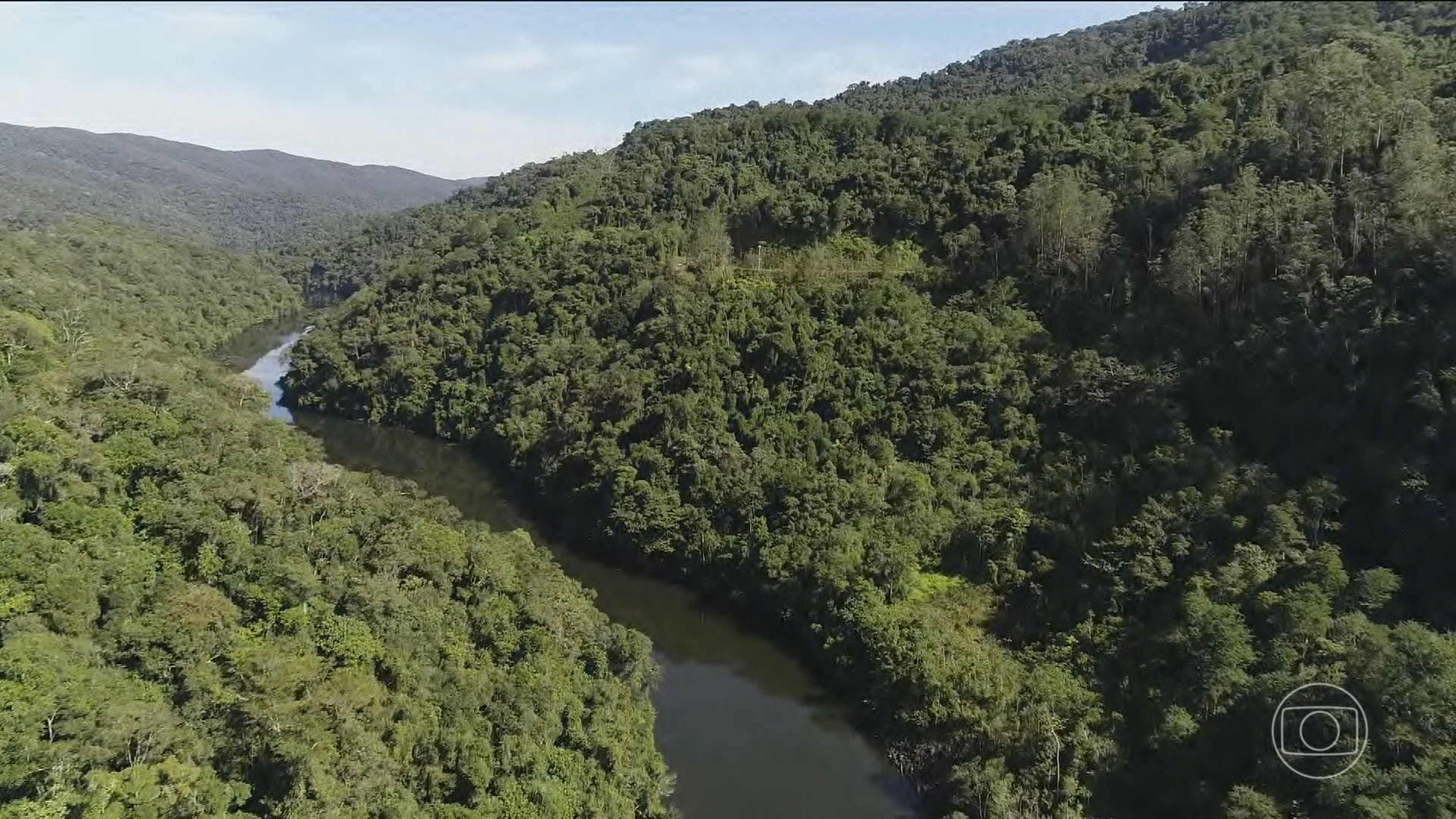 USP cria plataforma para calcular e agilizar compra e venda de crédito de carbono do Brasil 