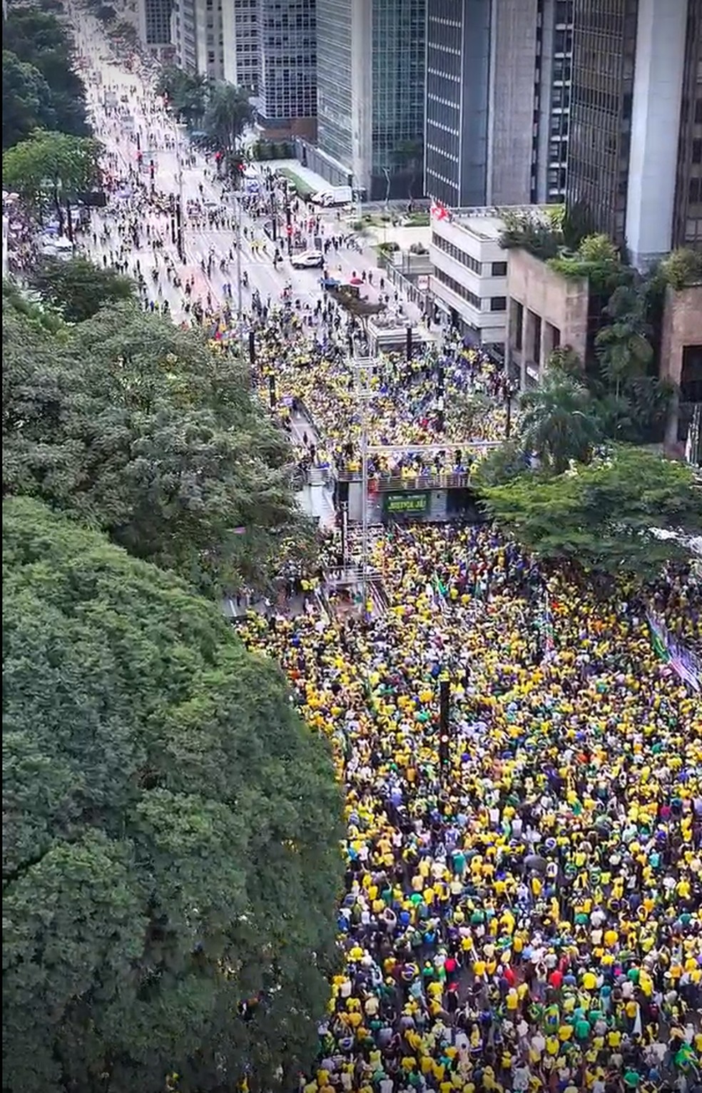 Imagem usada para medir público em manifestação na Av. Paulista com a presença de Bolsonaro — Foto: Monitor do Debate Político no Meio Digital & More in Common