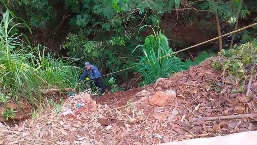 Sucuri &eacute; capturada ap&oacute;s atacar cachorra em Ur&acirc;nia (SP) &mdash; Foto: Divulga&ccedil;&atilde;o