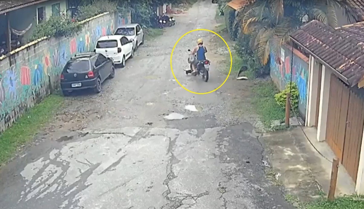Motociclista é preso após passar por cima de cachorro em Lumiar