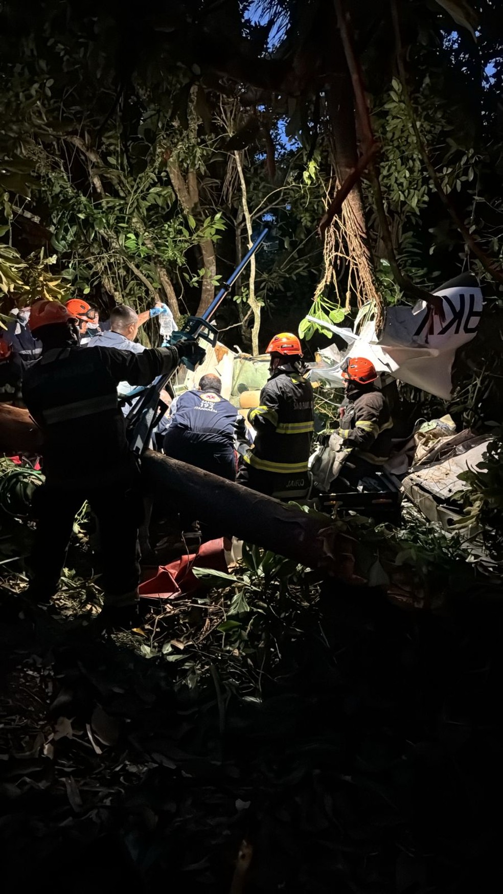 Avião caiu em aldeia indígena no litoral de São Paulo — Foto: Defesa Civil de SP