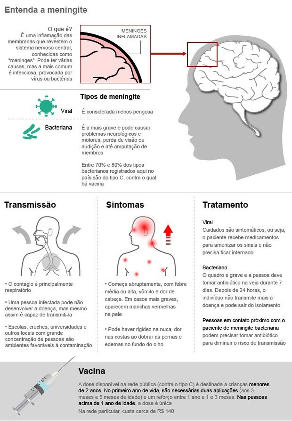 Entenda o que é a meningite (Fonte: Rosana Rictmann, presidente da Sociedade Paulista de Infectologia)  — Foto: Arte/G1