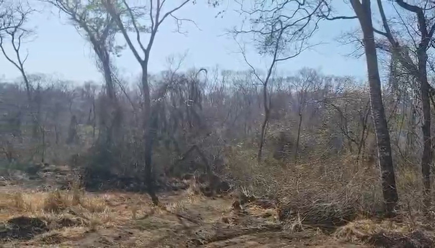 Incêndio de grandes proporções atinge canaviais e pastagens entre Zacarias e Planalto 