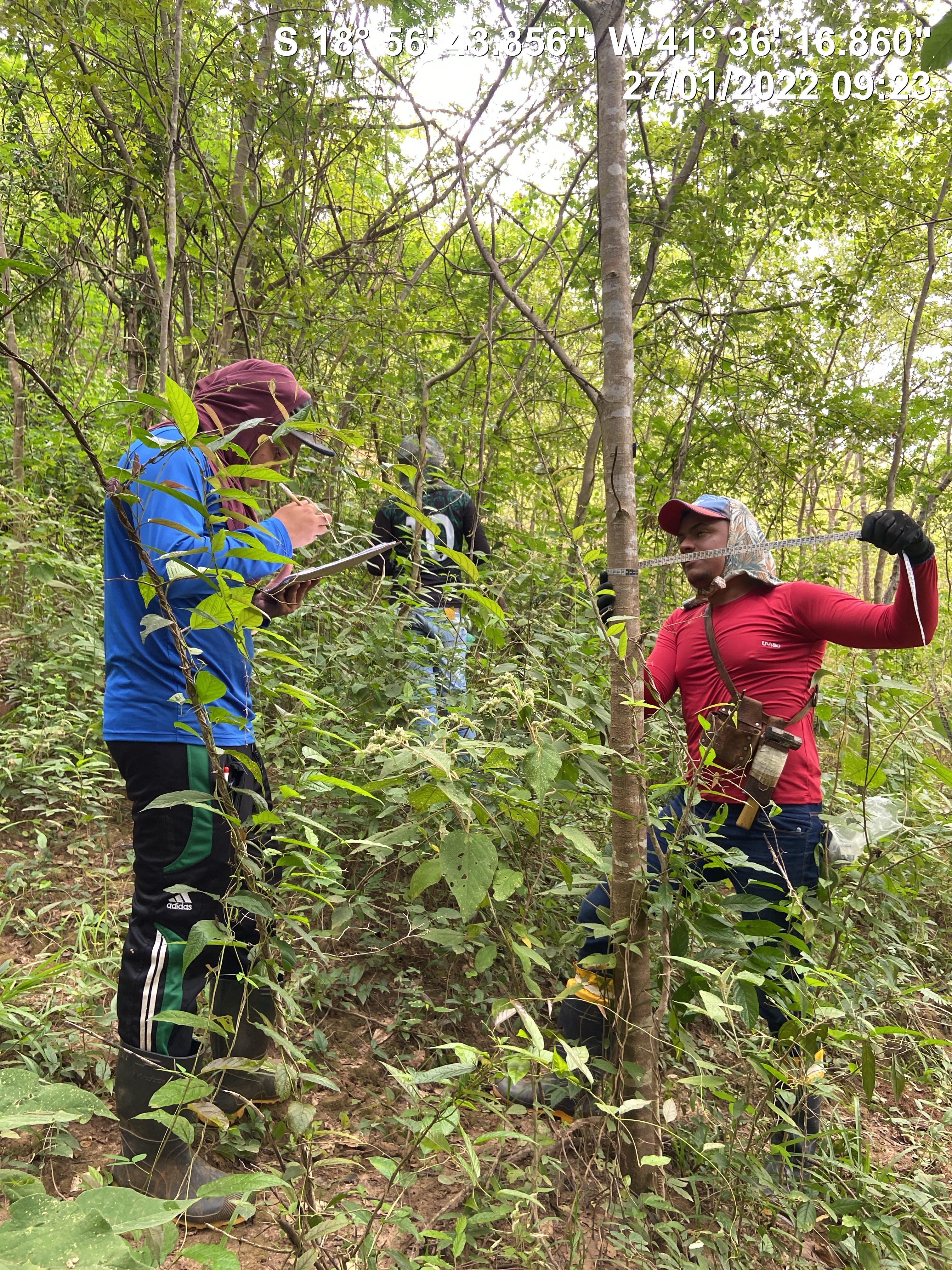 Desastre de Mariana: pesquisadores comprovam perda de biodiversidade e danos irreversíveis dez anos depois