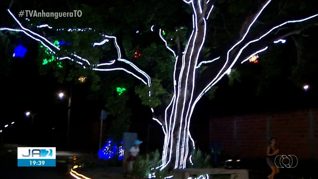 P de pequi no meio de rua em Araguana fica todo iluminado com decorao de natal