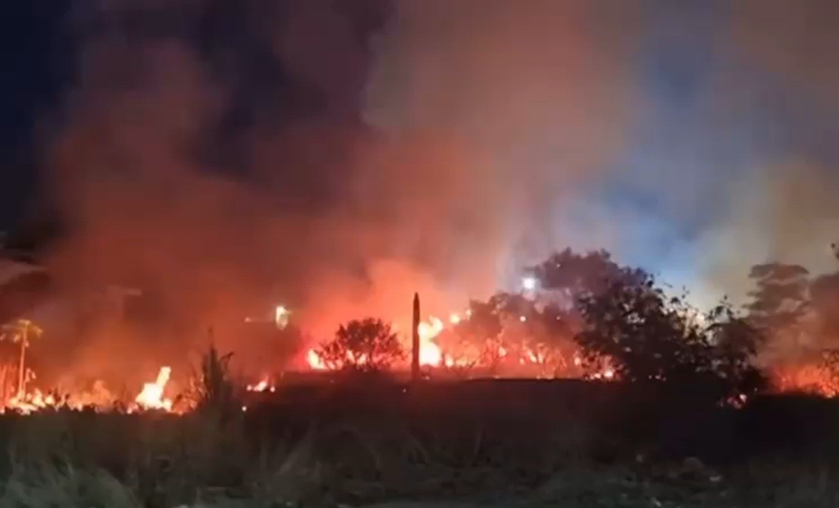 Incêndio em terreno baldio reacende alerta para queimadas em vegetação durante o inverno em Campos