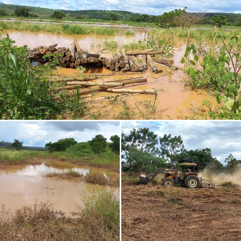 Propriedade do Miguelito atingida pela cheia do Rio Doce, com pastagem prejudicada pela lama com rejeito. — Foto: Arquivo pessoal