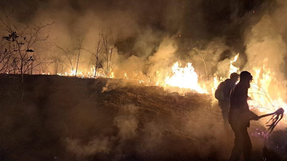Brigadistas em combate a incêndio em Sp — Foto: Divulgação