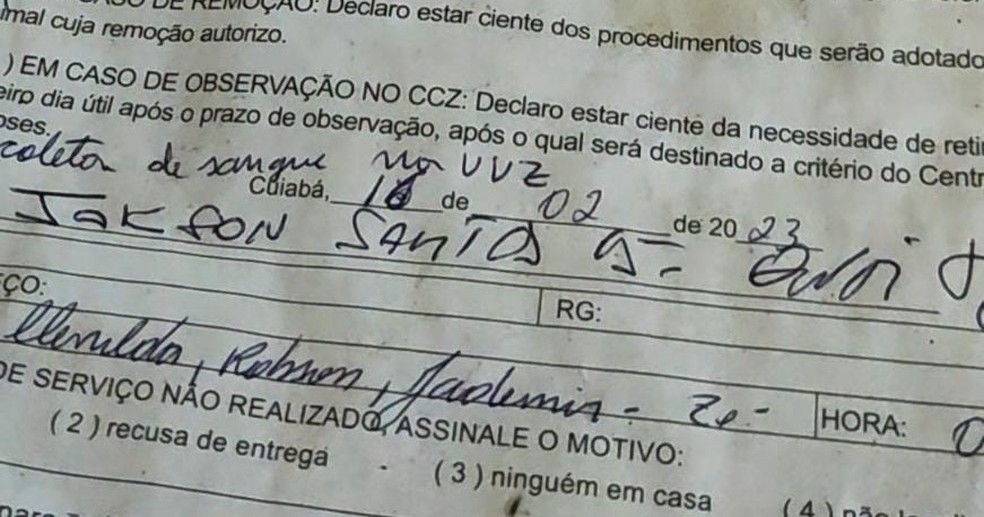 Documentação que comprova a entrada do 