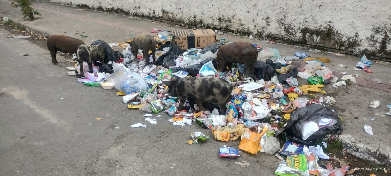 São Vicente pode ter novas regras e multas no descarte de lixo que chegam a R$ 200 mil; entenda