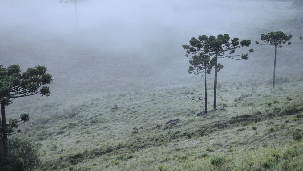 Amanecer en el Valle de los Caminos Nevados — Foto: Mycchel LegnaghiSão/Joaquim Online