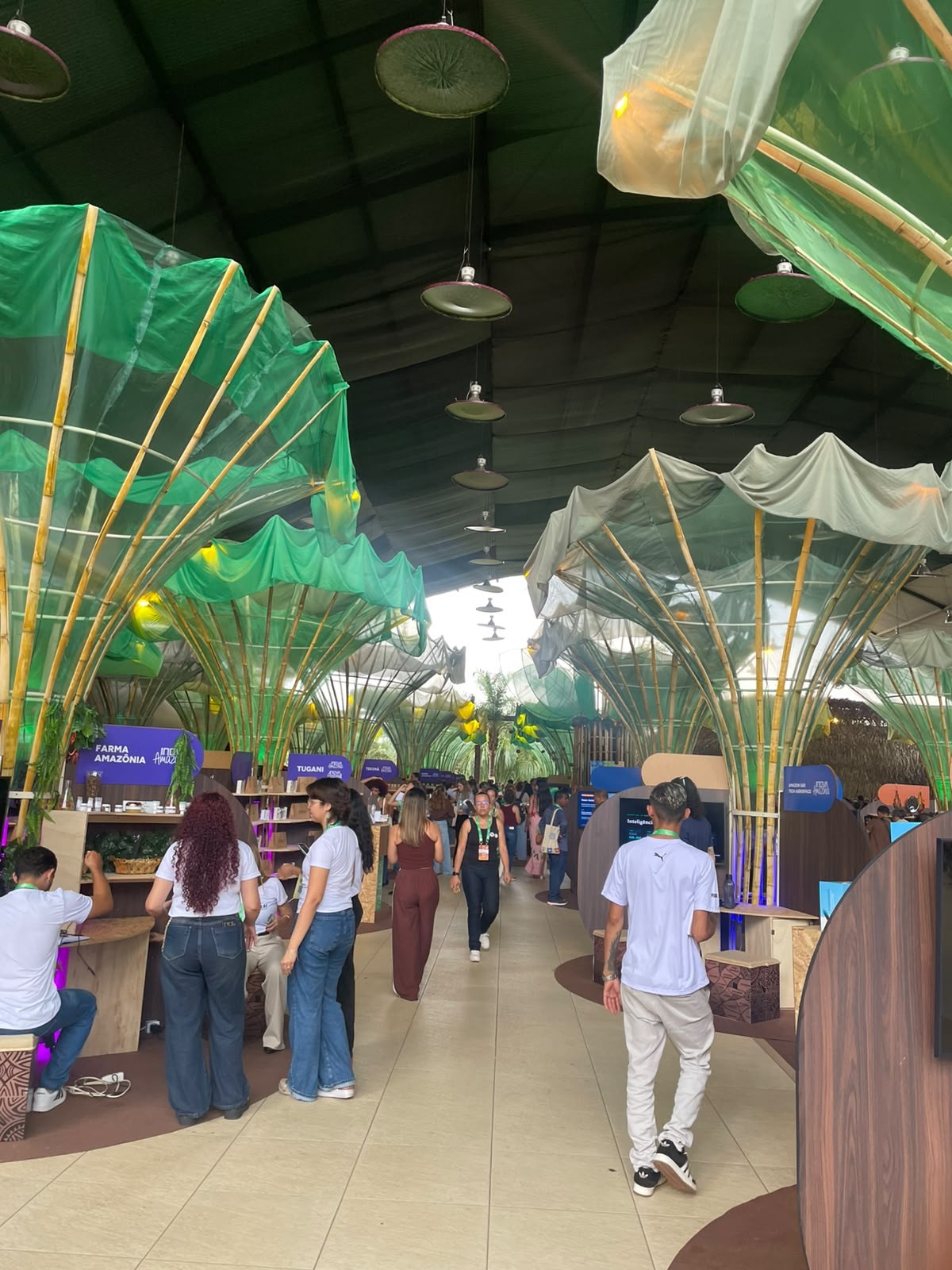Acre vira vitrine para transformar biodiversidade amazônica em negócios: 'Mudança de cultura'