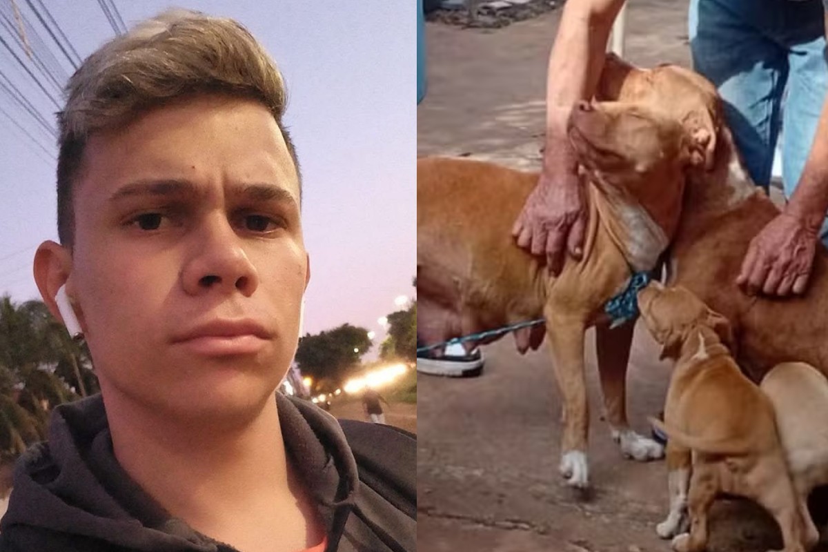 Jovem que teve orelha dilacerada e artéria rompida em ataque de pitbulls está em estado grave