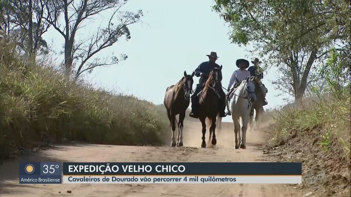 Trio é detido após matar cavalo para comer em São Francisco do Sul