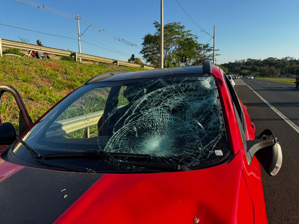 Atropelamento com v&iacute;tima fatal na BR-153 em S&atilde;o Jos&eacute; do Rio Preto (SP) &mdash; Foto: TV TEM / Muryel Boian