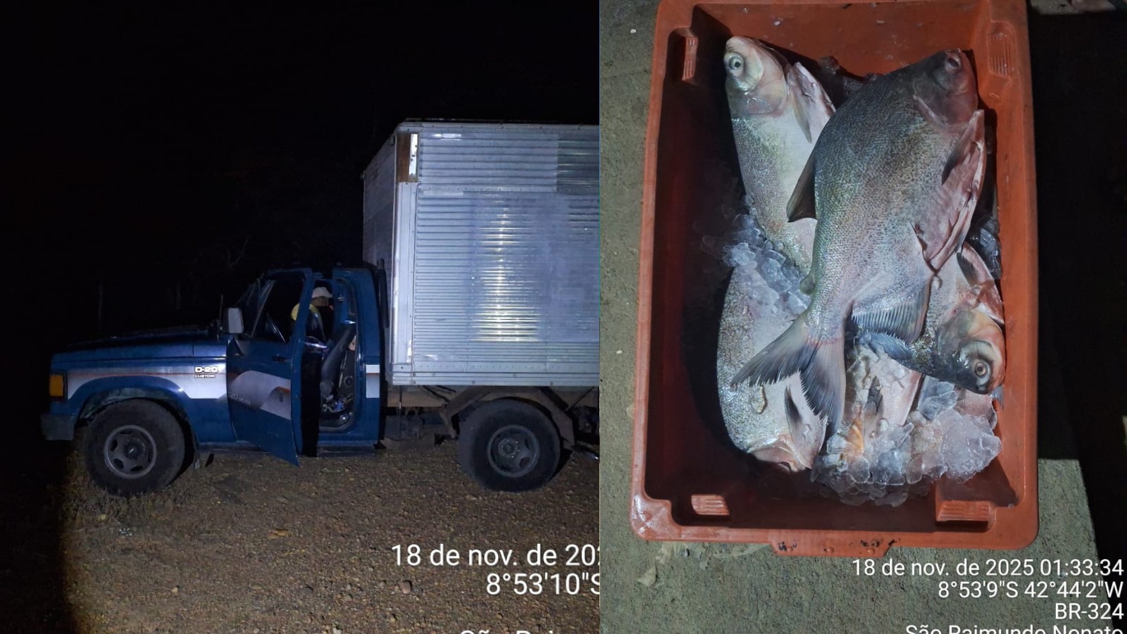 Polícia apreende uma tonelada de pescado transportado de forma irregular no Sul do Piauí 