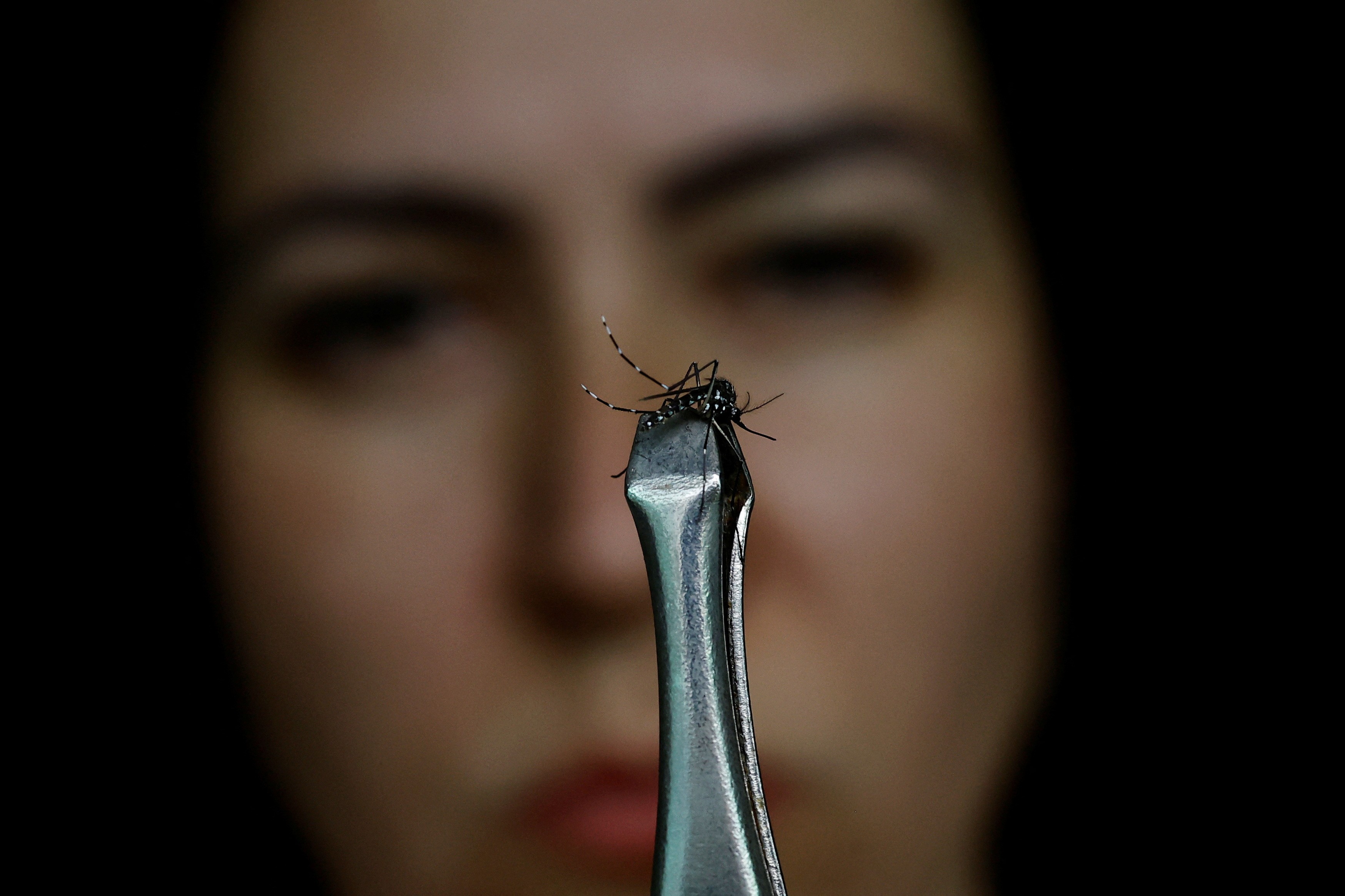 DF e 6 estados têm emergência de dengue; 'Dia D' contra a doença será em 2 de março