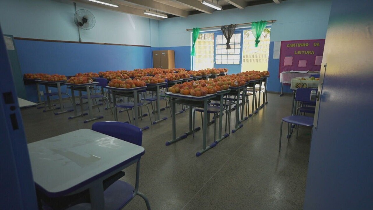 Escolas Públicas De São Paulo Abrem Nas Férias Para Dar Merenda A Crianças Ameaçadas Pela 9288