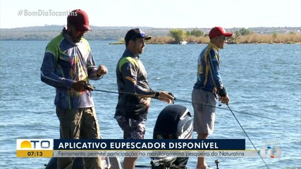 Aplicativo permite que pescadores acompanhem movimentos da atividade no estado