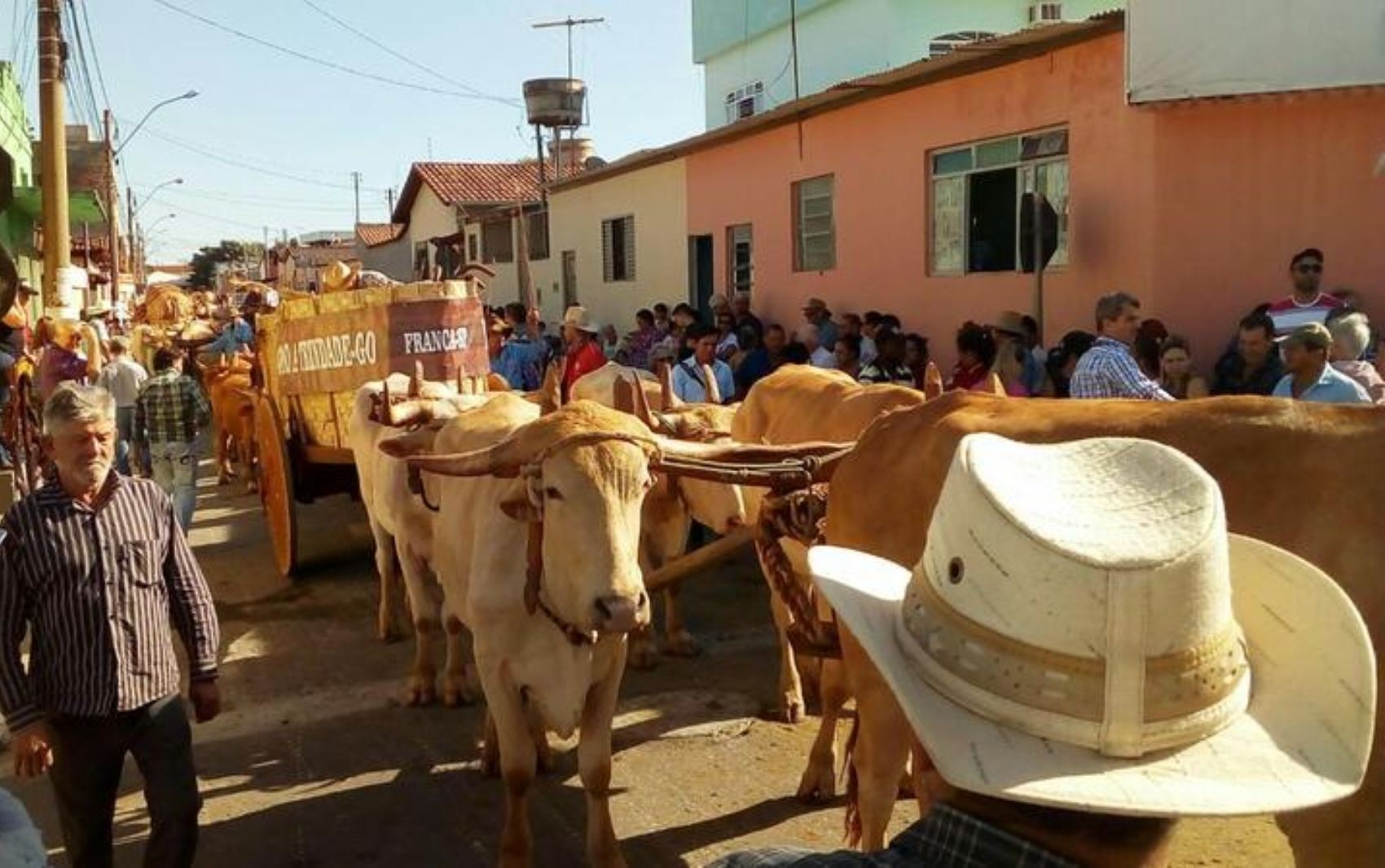 Carreiros viajam mais de 100 km durante sete dias para Romaria do Divino Pai Eterno, em Trindade