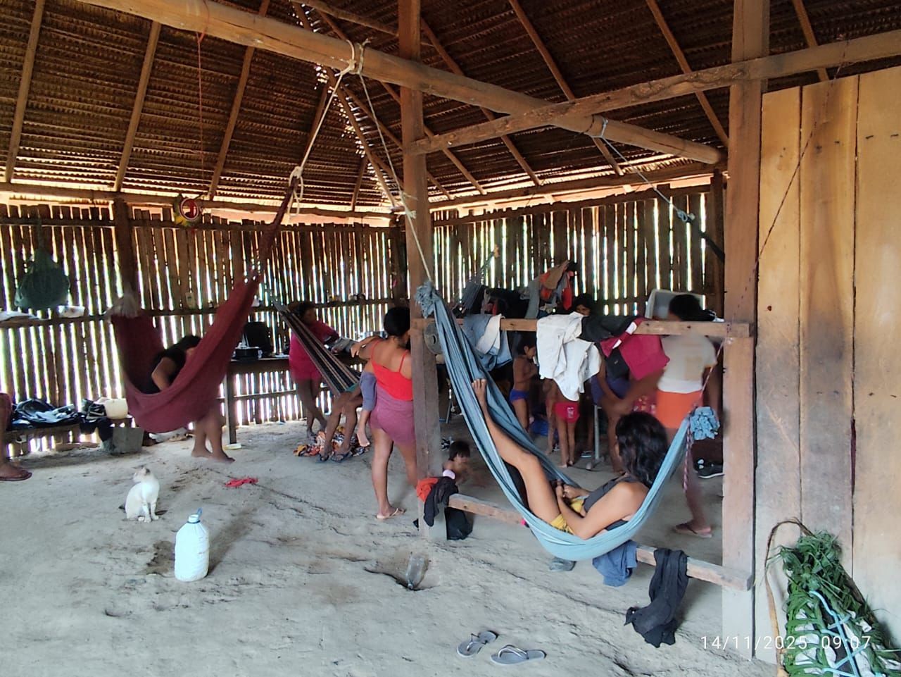 Indígenas Parakanã são encontradas após quase uma semana perdidas na mata, no Pará