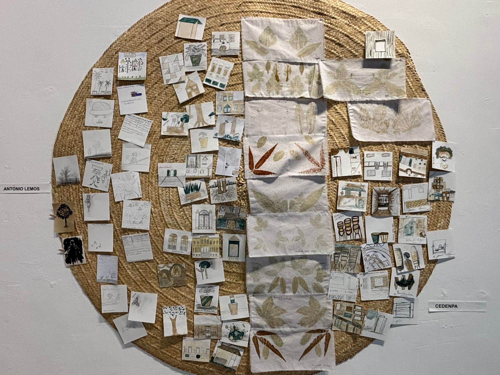 Sementes, folhas e sons da floresta: projeto desenvolve metodologia de educação pela arte a partir de vivências amazônicas