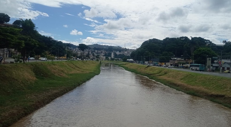 Imagem Juliana Netto